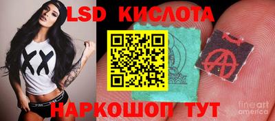 шишки Дубна