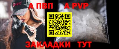 шишки Дубна
