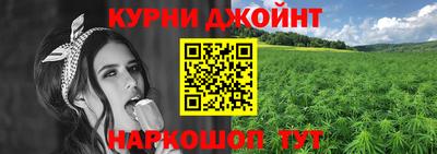 шишки Дубна