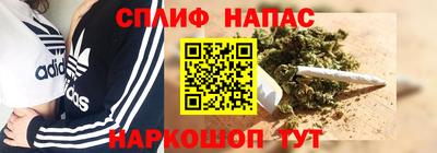 шишки Дубна