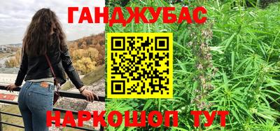 шишки Дубна
