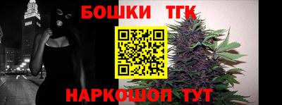 шишки Дубна