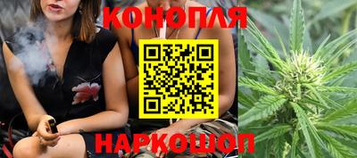шишки Дубна
