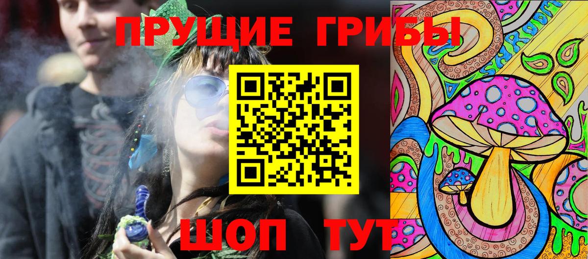 Псилоцибиновые грибы Cubensis  Псилоцибиновые грибы ЛСД  купить наркоту  Железноводск 