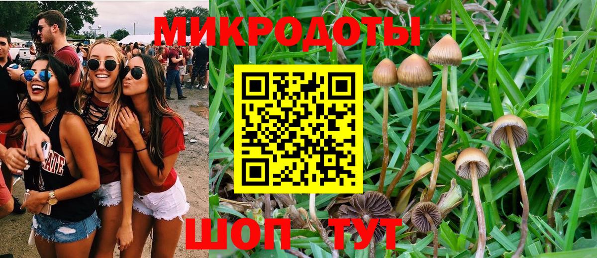 Галлюциногенные грибы мицелий  где купить   Железноводск  Вход с VPN 